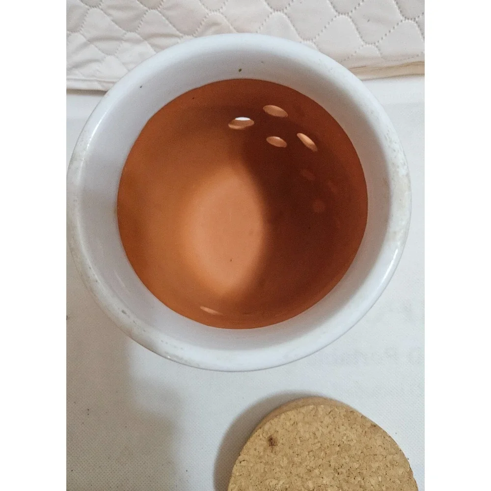 Terracotta Garlic‎ Keeper Storage Container with Cork Lid Kitchen Decor